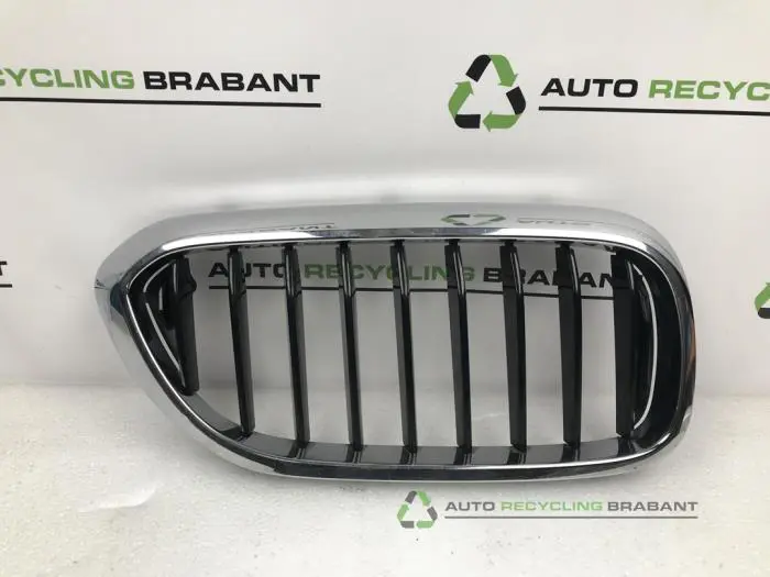 Grille BMW 5-Serie