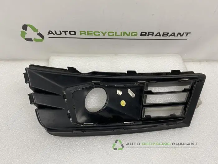 Stoßstangenrost - 8c2d4c64-524b-4d7b-91c5-3c32a1be668c.jpg