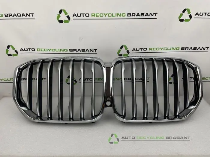 Stoßstangenrost BMW X5