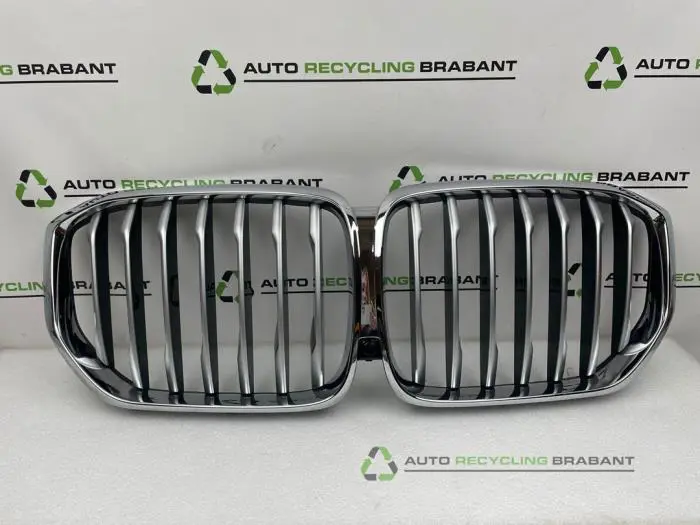 Stoßstangenrost BMW X5