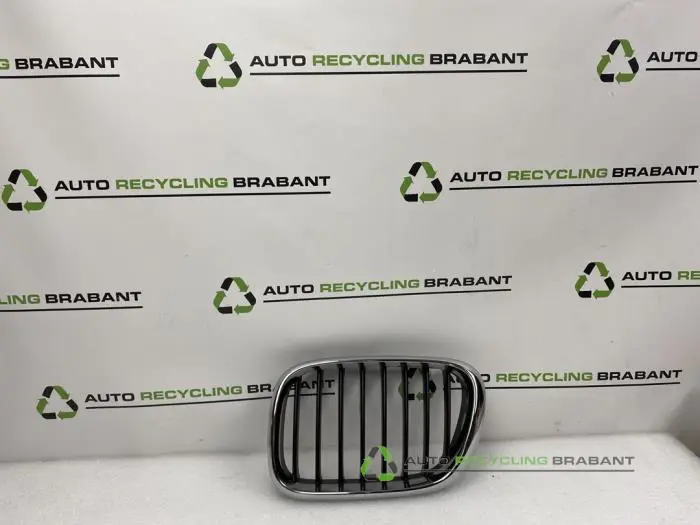 Grille BMW X5