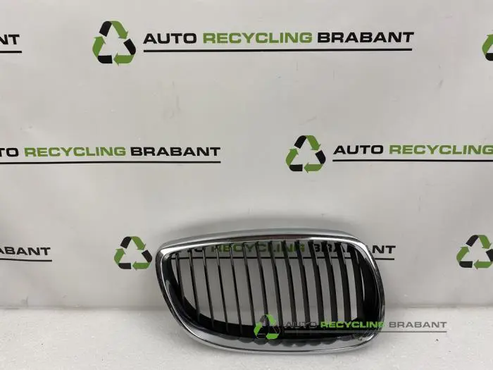 Grille BMW 3-Serie