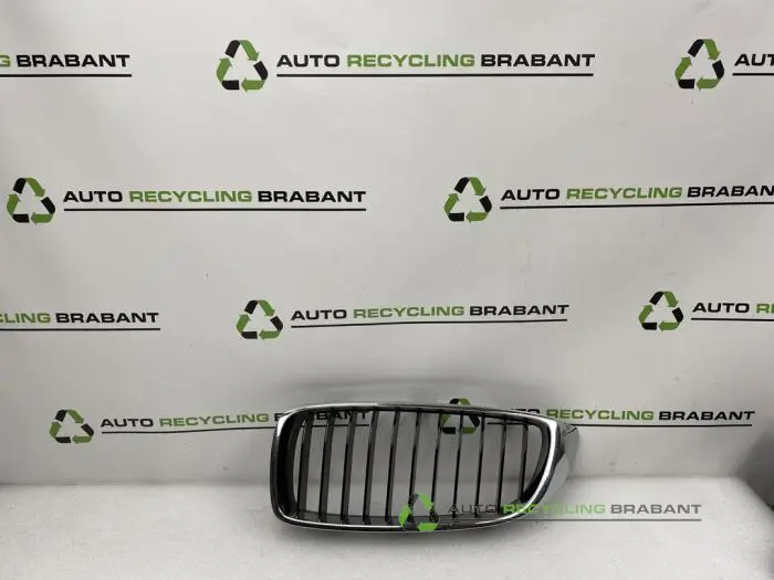 Grille BMW 4-Serie