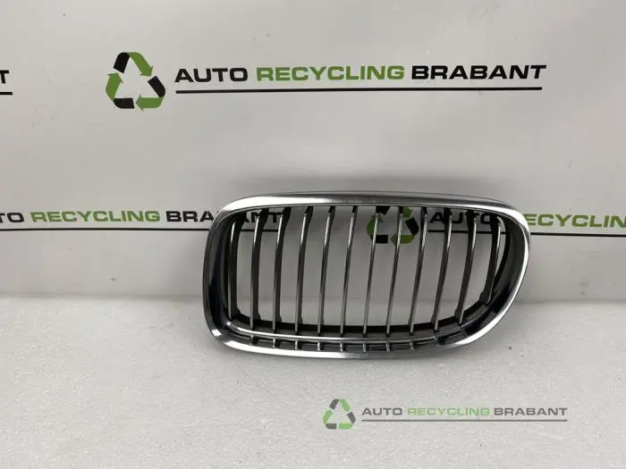 Grille BMW 3-Serie