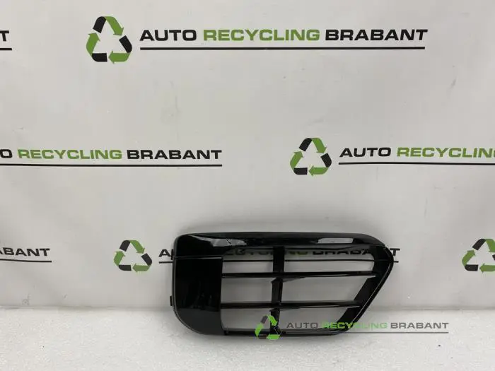 Stoßstangenrost BMW X1