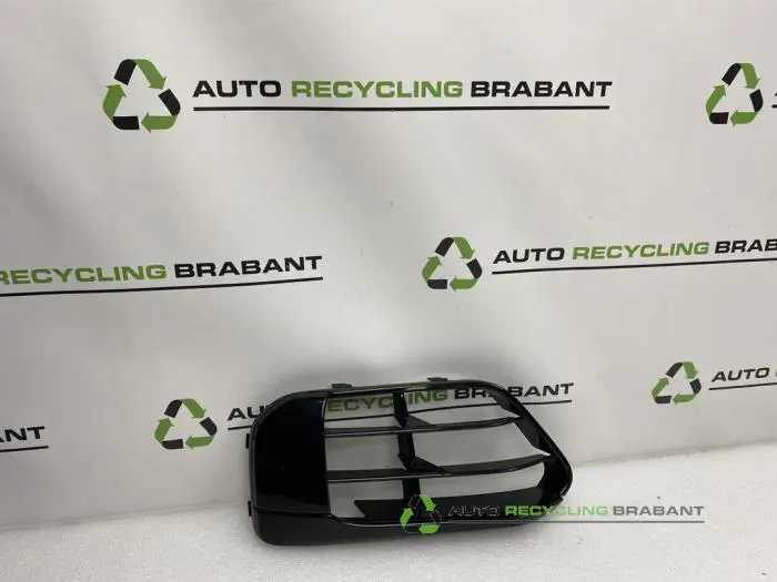 Stoßstangenrost BMW X1