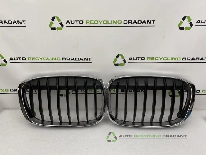 Grille BMW X1