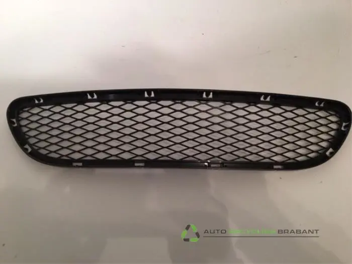 Stoßstangenrost BMW 3-Serie