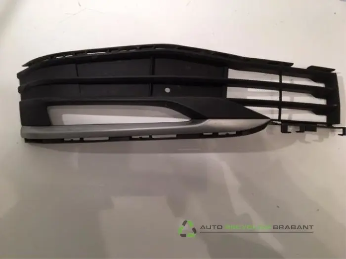 Stoßstangenrost BMW 5-Serie