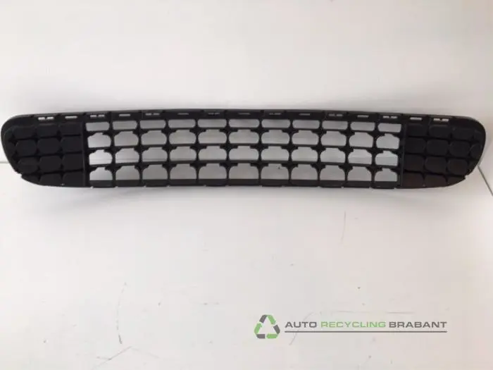 Stoßstangenrost Mini Countryman