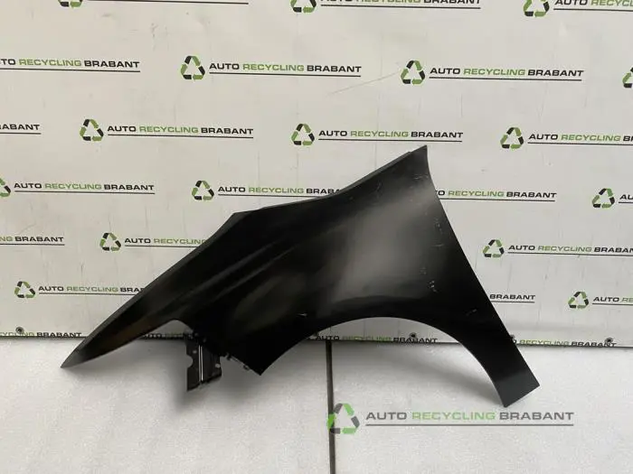 Scherm links-voor Citroen C4 Picasso