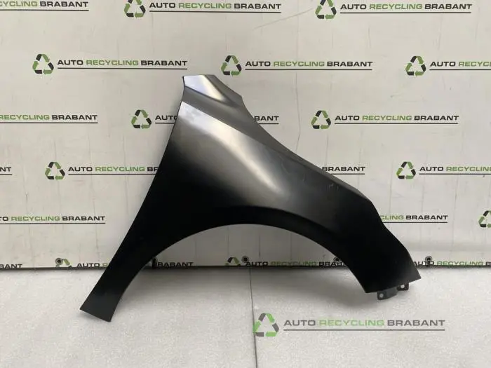 Scherm rechts-voor Kia Pro Ceed