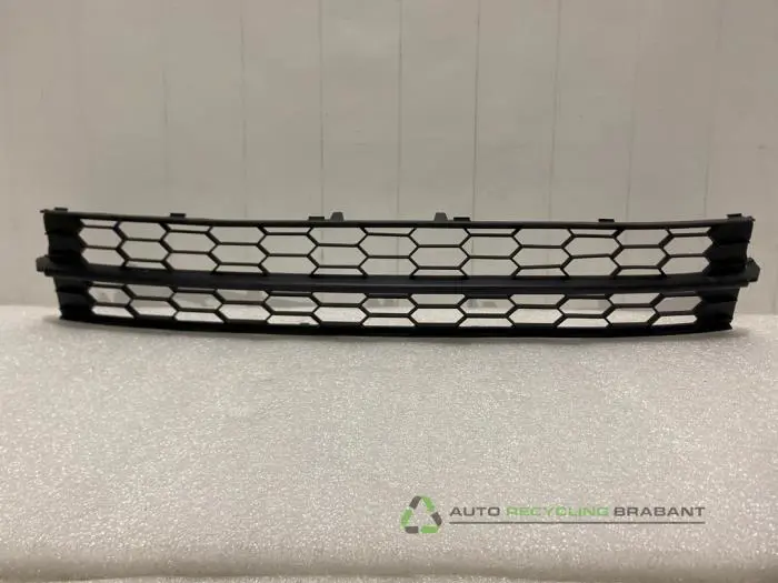 Stoßstangenrost Skoda Rapid